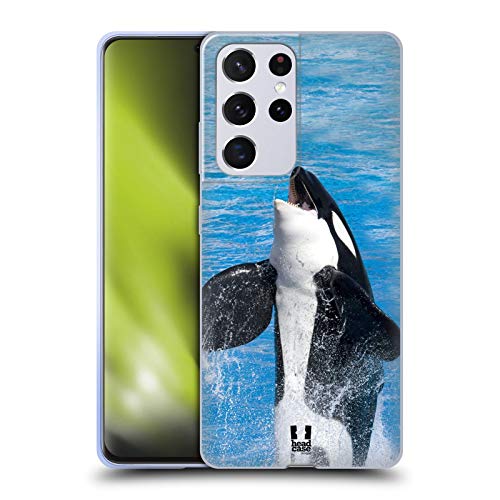 Jumping Killer Whale