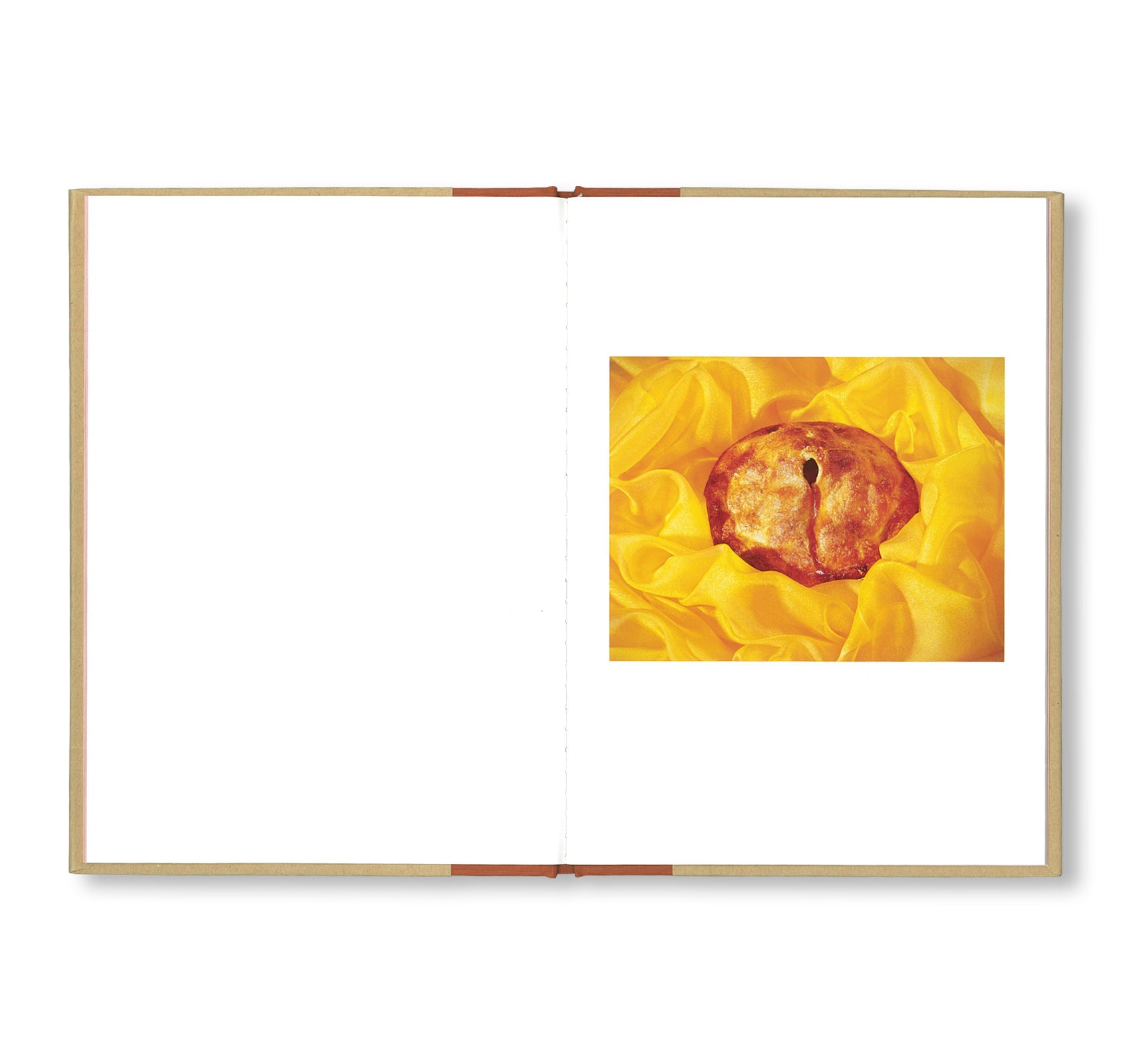 ONE PICTURE BOOK TWO #06: CHEAP THRILLS by Jo Ann Callis - Art Photography Book for Collectors & Enthusiasts - Perfect for Home Decor, Coffee Table Display & Gift Giving