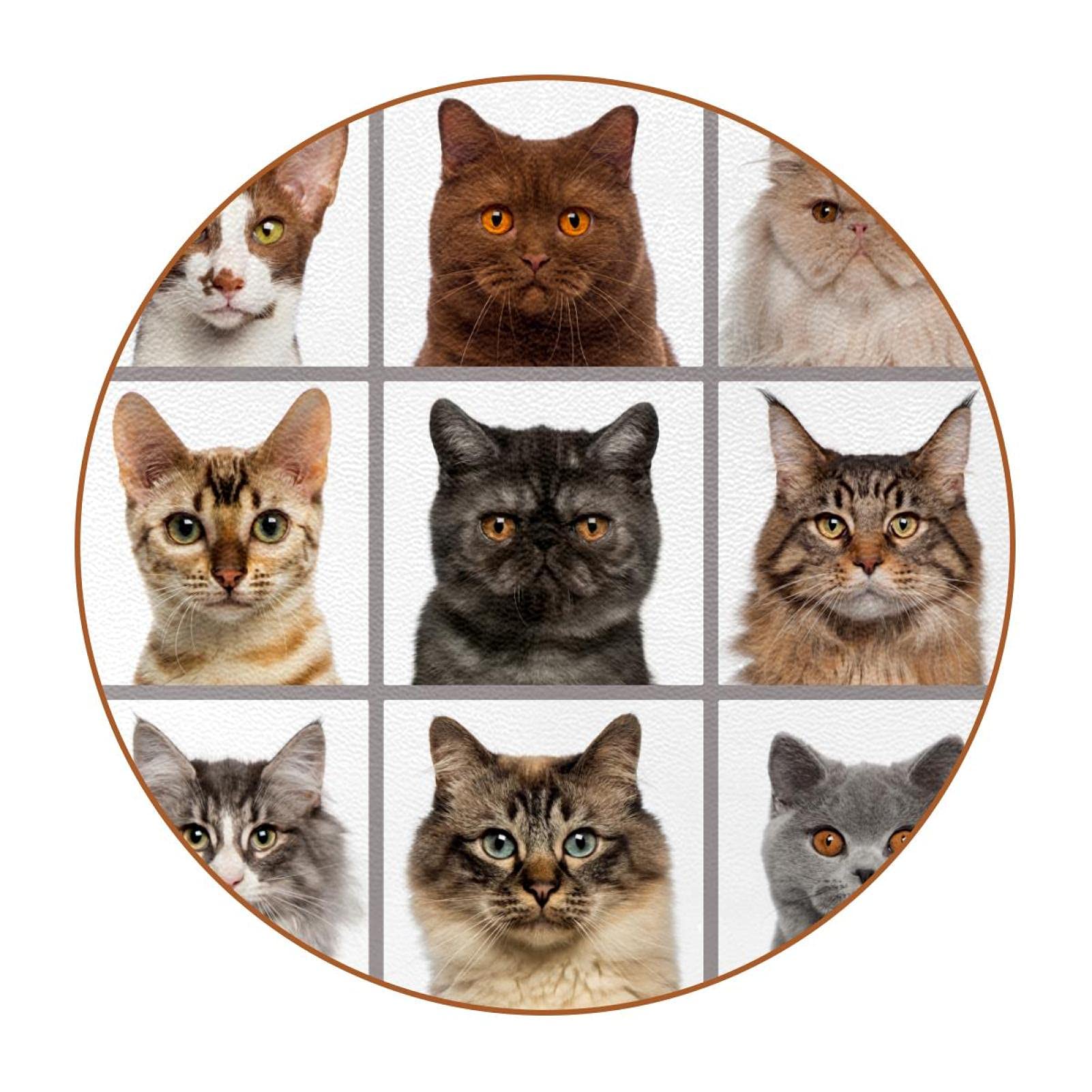 6-Pack Absorbent Felt Drink Coasters with Phone Holder - Premium Furniture Protectors for Coffee Tables, Home Decor & Housewarming Gifts - Cute Cat Design for Living Room, Office & Bar Use