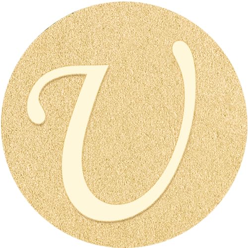 U Tie Pins