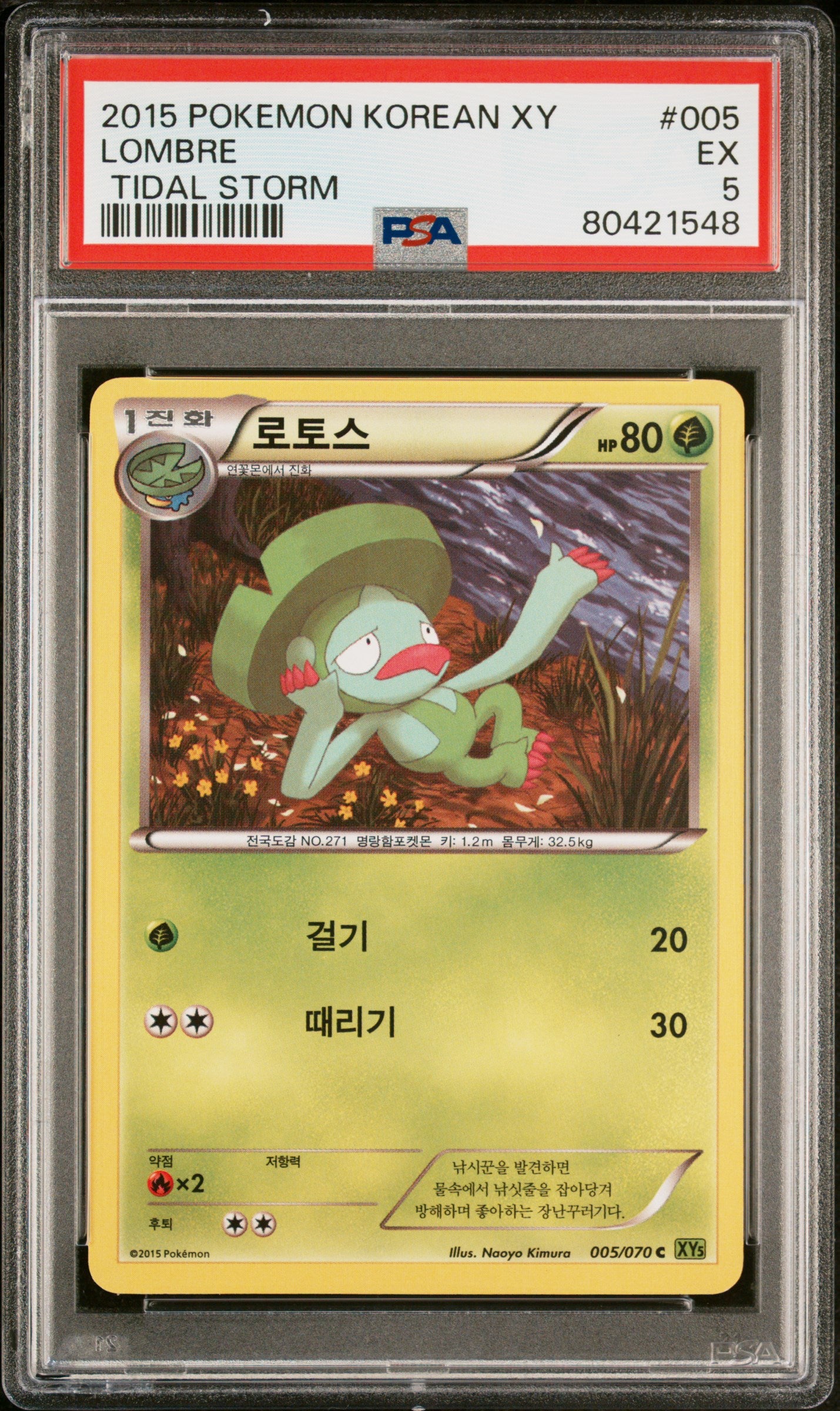 2015 Pokemon Korean XY Tidal Storm Lombre #5 PSA 5 Graded Card - Collectible Trading Card for Pokemon Fans & TCG Players - Perfect for Gaming, Collecting & Investment