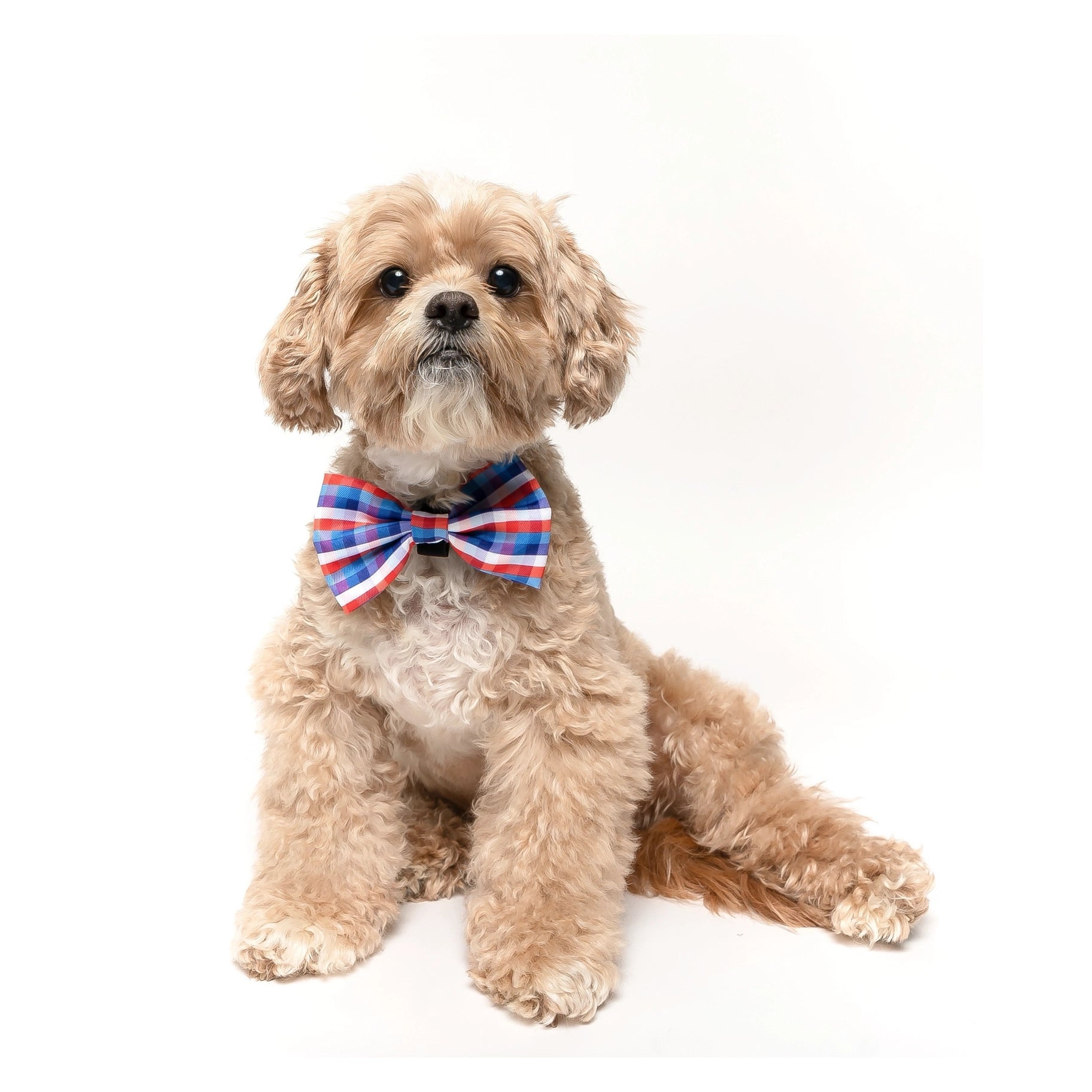 Red White Blue Plaid Dog Collar Bow Tie - Stylish Pet Accessory for Holidays, Parties & Special Occasions