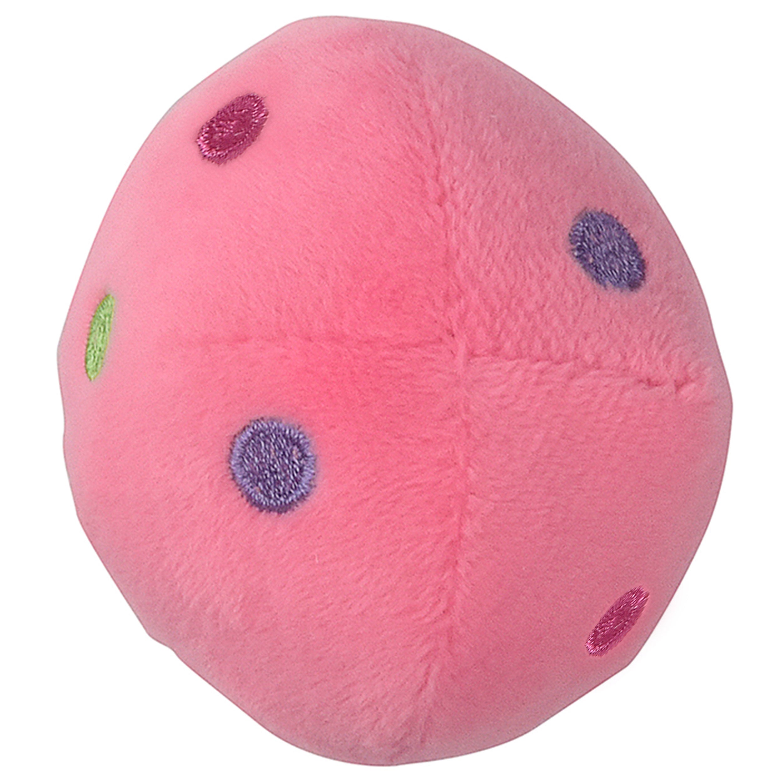 Soft Plush Mushroom Squeaky Dog Toy - Cute & Durable Chew Toy for Small & Medium Dogs - Perfect for Playtime, Training & Gifts