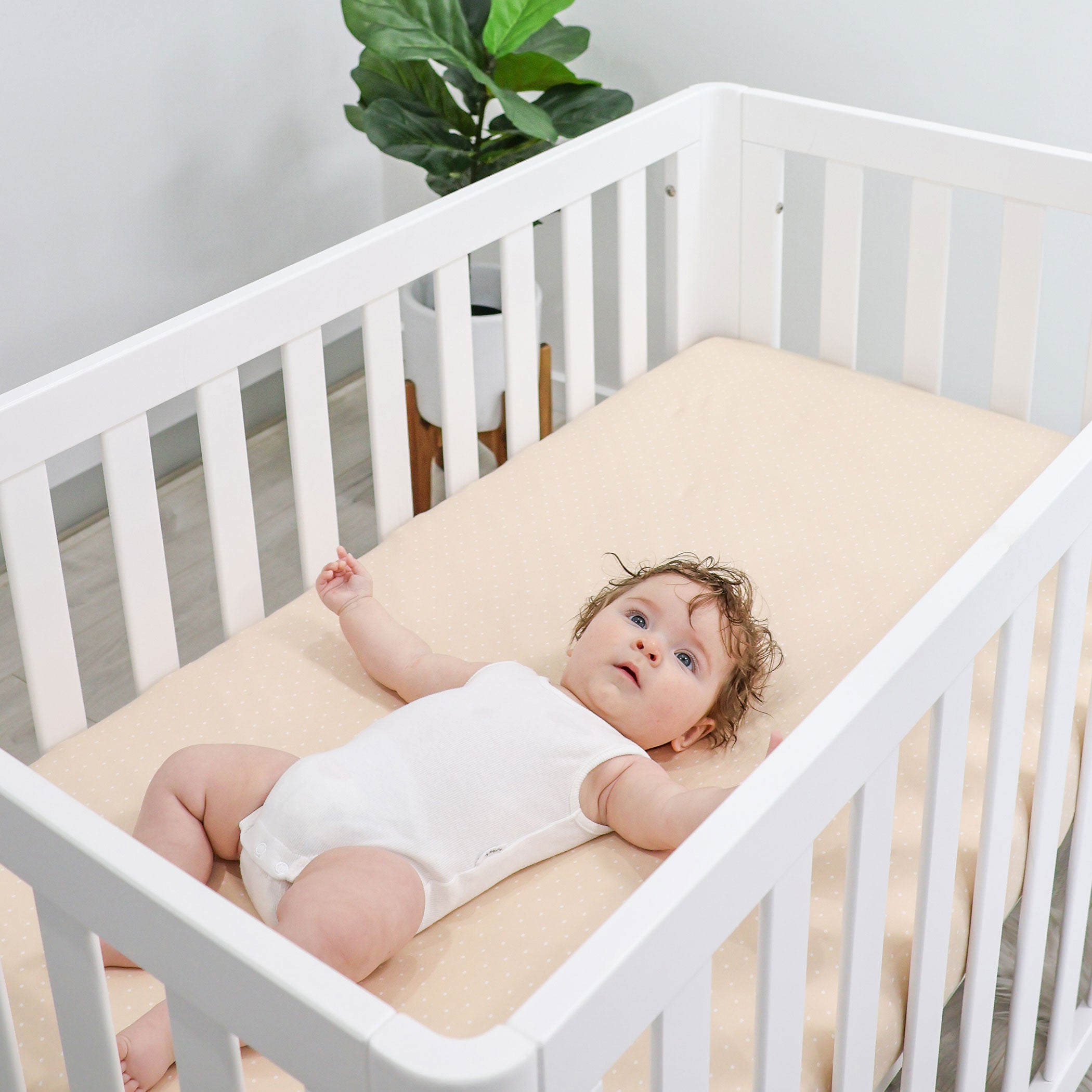 2-Pack Jersey Cotton Fitted Sheets - Soft Grey & Taupe for Comfortable Sleep - Perfect for Kids' Rooms, Guest Beds & Dorm Essentials