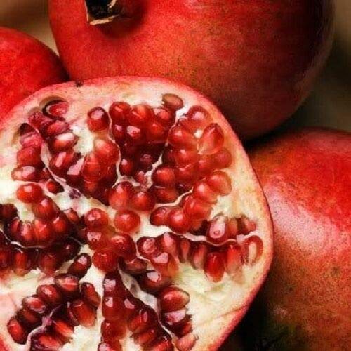 Organic Pomegranate Tree Seeds (Punica Granatum) - 25 Premium Red Jocad Seeds for Planting | Grow Your Own Fruit Tree for Home Garden, Landscaping & Fresh Juicing