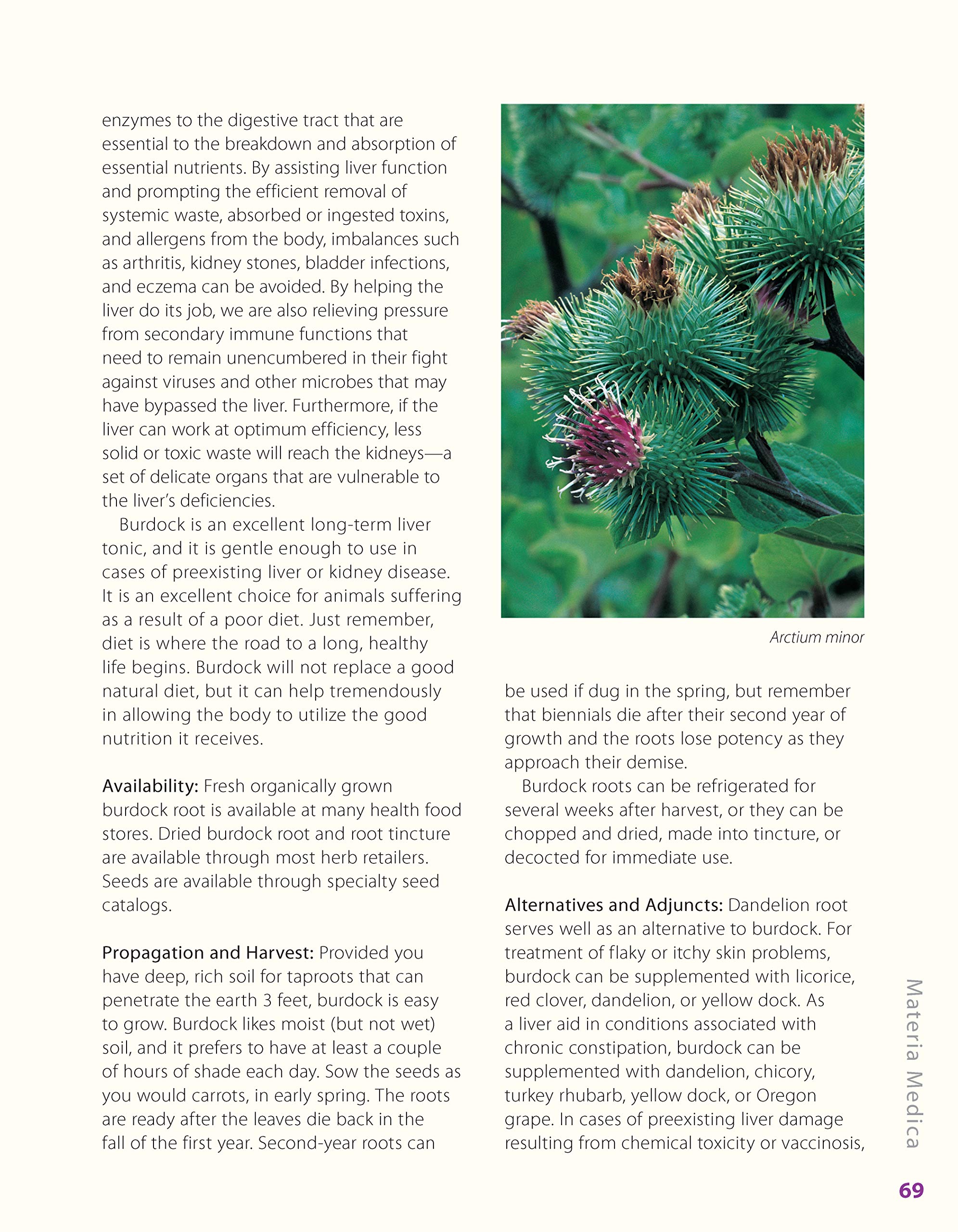 **Herbs for Pets: Natural Remedies & Holistic Care Guide for Dogs, Cats, Horses & Birds | Medicinal Plants, Nutritional Supplements & DIY Recipes | Improve Pet Health & Wellness at Home**    *(Use Case: Perfect for pet owners seeking natural solutions for allergies, digestion, joint health, and overall vitality in dogs, cats, horses, birds, and small animals.)*