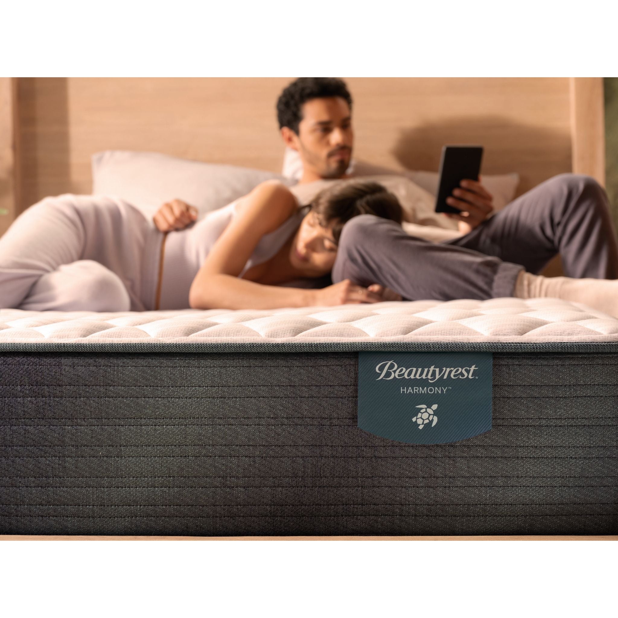 Beautyrest Harmony Cove 2.0 11.5