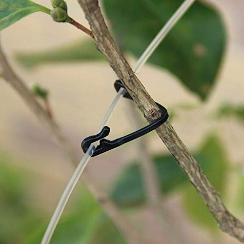 200pcs Reusable Vegetable Clips - Strong Garden Plant Ties for Supporting Tomatoes, Vines & Flowers | Secure Plants to Stakes & Trellises | Perfect for Home Gardening, Greenhouses & Farm Use