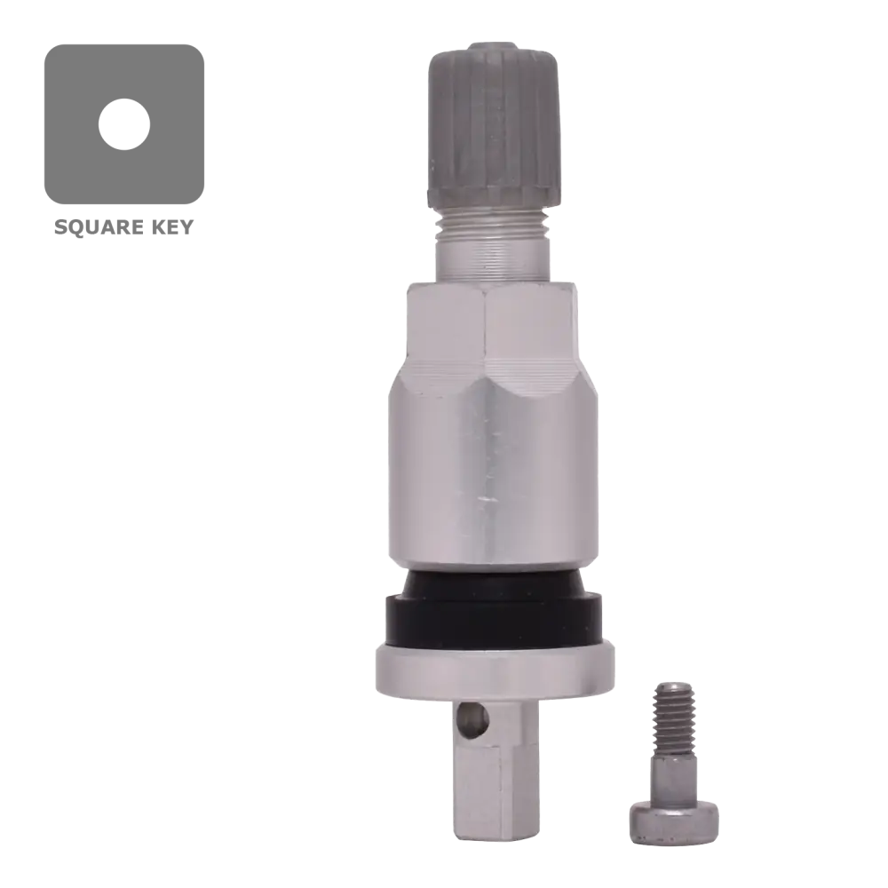 Dill VS925A TPMS Aluminum Valve Stem Service Kit - Compatible with GM, Ford, Chrysler Dodge Jeep & Subaru | Tire Pressure Monitoring System Replacement | Perfect for Auto Repair Shops & DIY Car Maintenance