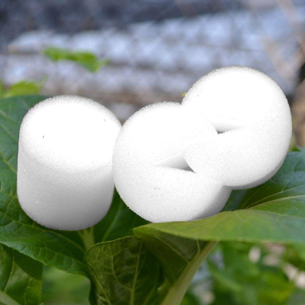 **50 Pcs Hydroponic Sponge Cubes - Soilless Seedling Starter, Dust-Free & Non-Toxic for Indoor Gardening, Hydroponics, and Home Planting**