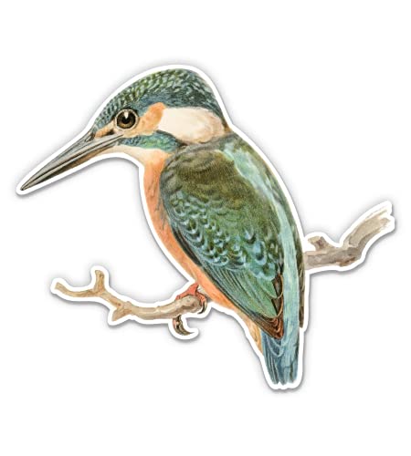 Kingfisher 12-Inch Waterproof Vinyl Sticker Decal - Durable Outdoor Decals for Cars, Laptops, Windows & DIY Crafts