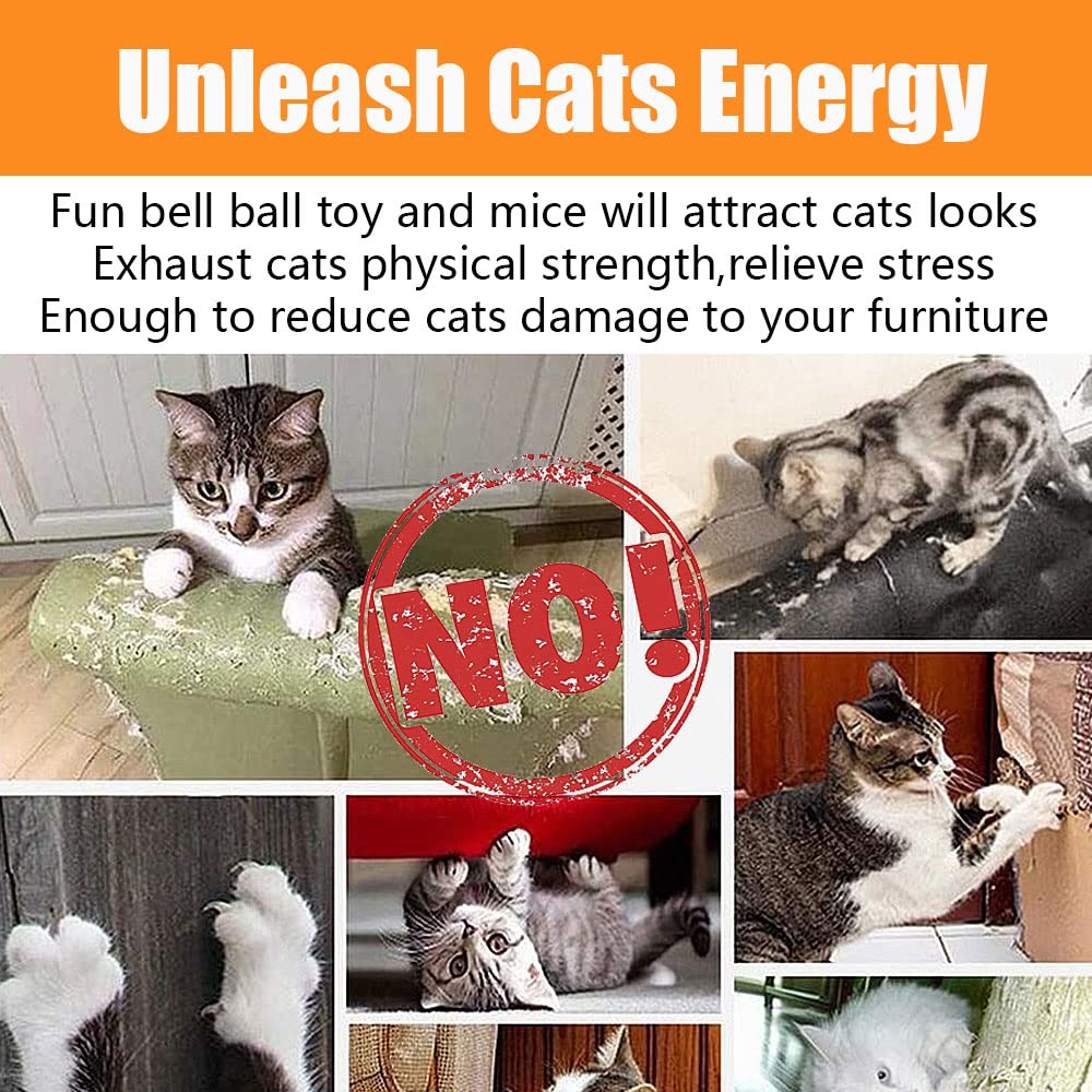 Speedy Panther 14-Pack Interactive Cat Toys for Indoor Cats & Kittens - Fun Roller Exerciser, 3-Level Teaser Balls & Feather Wand - Perfect for Playtime, Exercise & Bonding with Your Feline Friend
