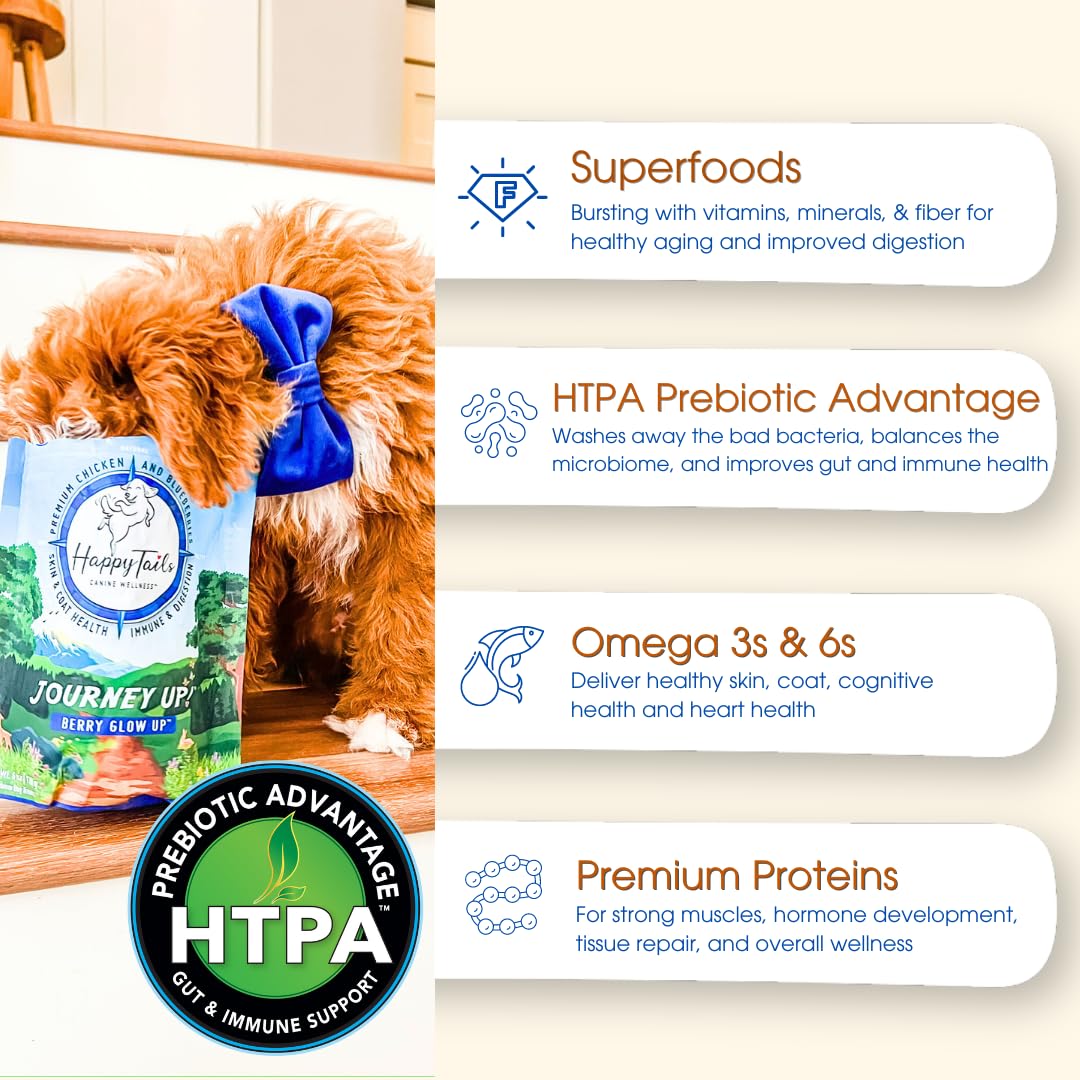 HappyTails Pumpkin Power Up Jerky Treats for Dogs - Beef, Pumpkin & Carrots Recipe - Made in USA - Supports Gut Health with Prebiotics - Promotes Skin & Coat with Omega 3 & 6 - All Dog Sizes (6 oz) - Perfect for Training Rewards & Digestive Health Boosting