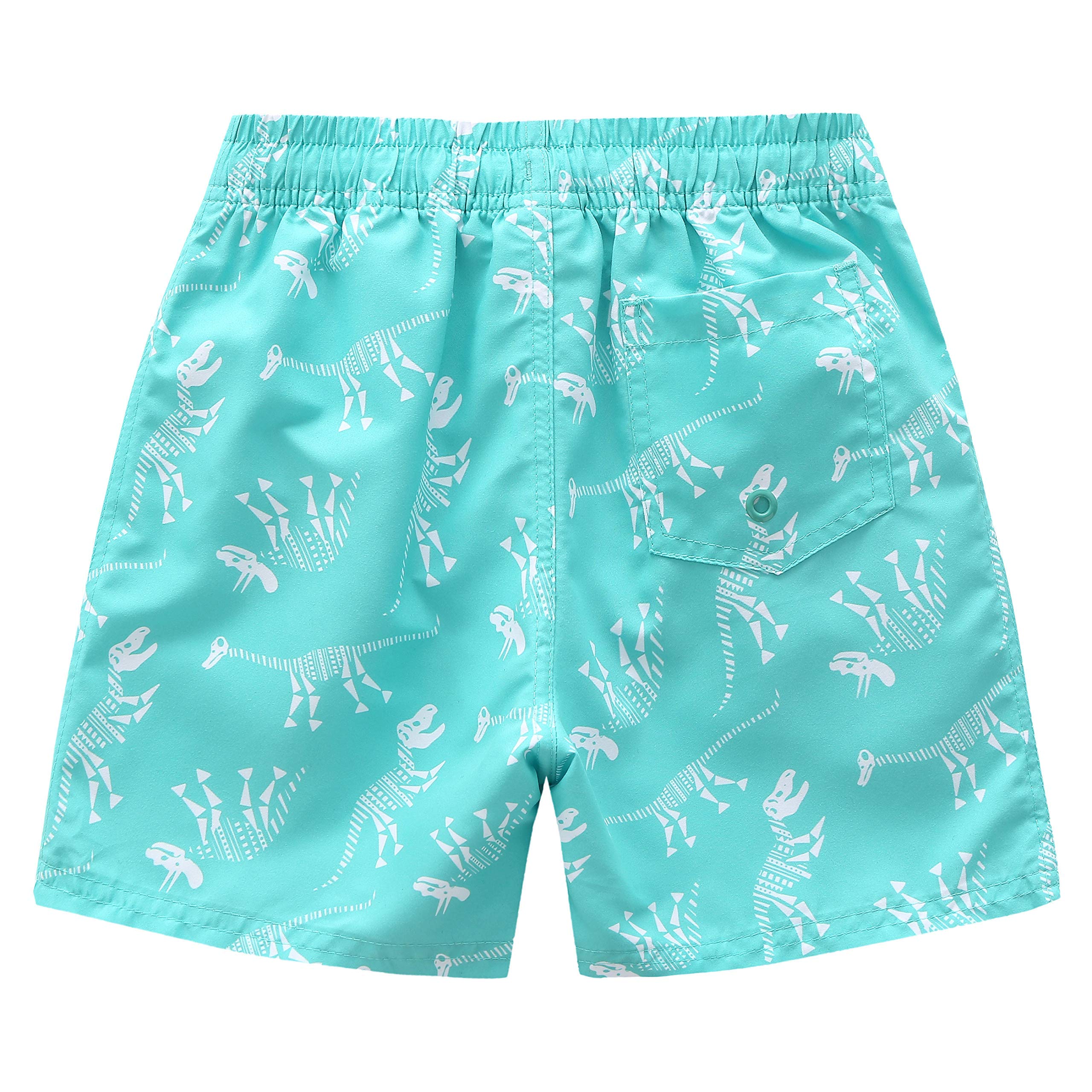 HowJoJo Boys' Dinosaur Swim Trunks - Quick Dry 3D Printed Swim Shorts with UPF 50+ Sun Protection - Perfect for Beach, Pool, and Summer Water Activities
