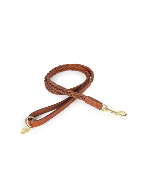 Premium Braided Dog Leash for Small & Medium Dogs - Durable & Stylish Walking Lead for Daily Walks, Training & Outdoor Adventures