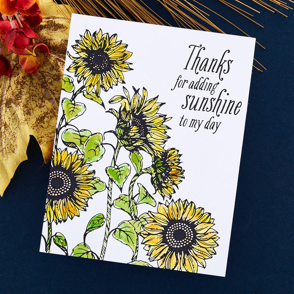 Spellbinders Sunflower Field BetterPress Metal Press Plate for Card Making & Scrapbooking | DIY Greeting Cards, Invitations & Paper Crafts