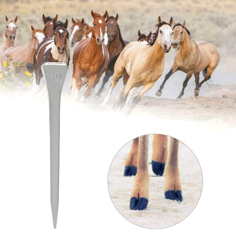 Premium Horseshoe Nails 250pcs - Heavy Duty Forged Steel Horse Hoof Nails for Farrier & Equine Care - Perfect for Horseshoe Repair, Stable Maintenance & Equestrian Use