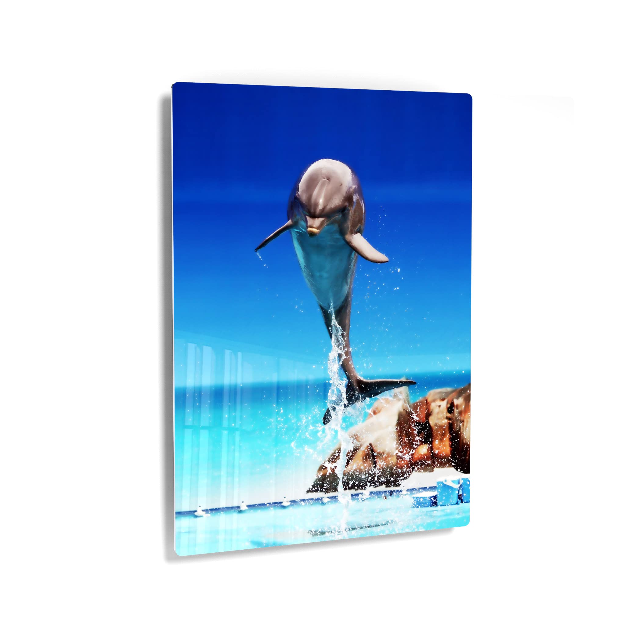 Dolphin Metal Wall Art Print - Blue Sky Marine Animal Portrait for Coastal & Nautical Decor | Ocean-Themed Home & Office Decor | Perfect for Living Room, Bedroom, Nursery & Kids Room | Made in USA - 40x30 Inches