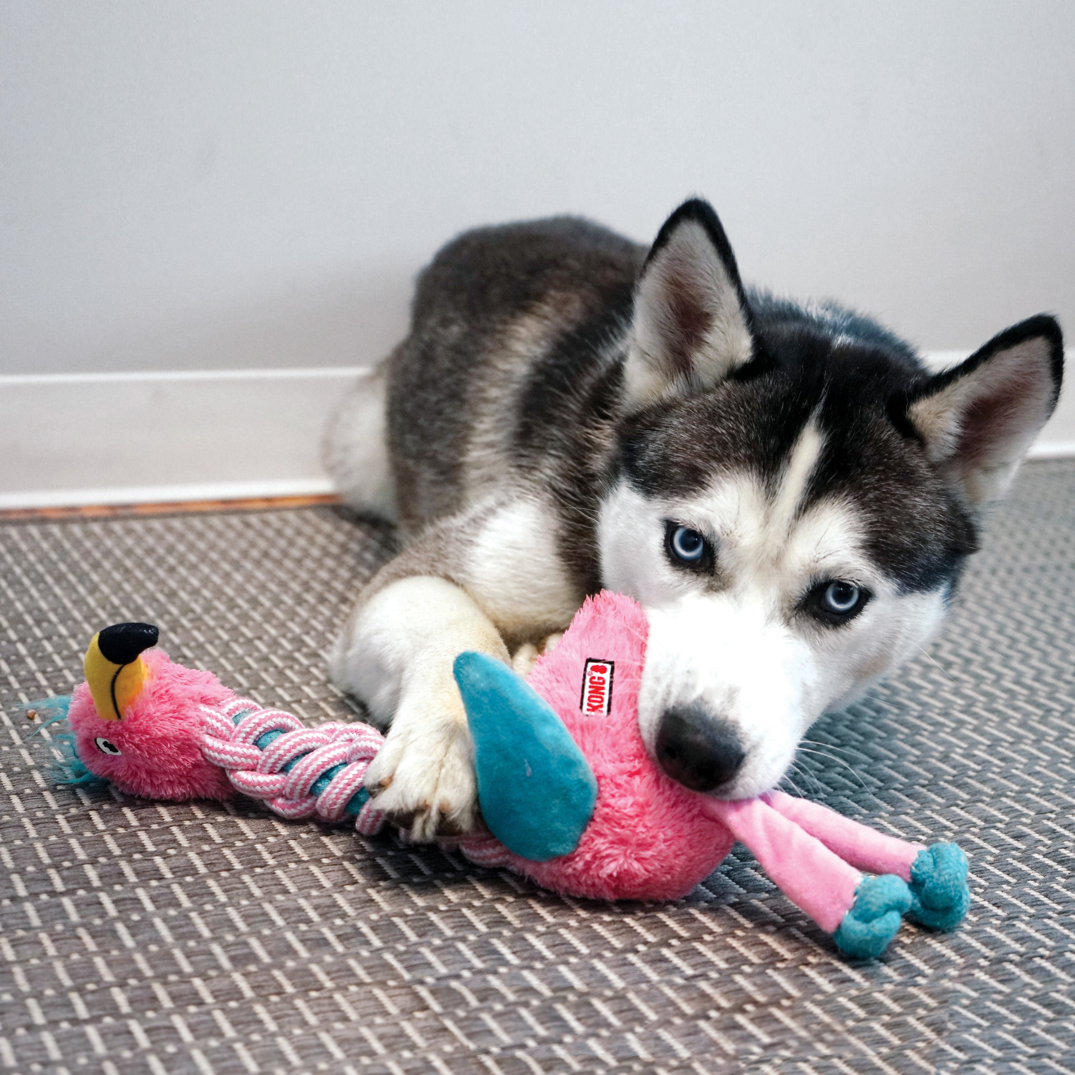 Braided Flamingo Dog Chew Toy by Kong - Durable & Safe for Aggressive Chewers - Perfect for Teething Puppies & Playtime