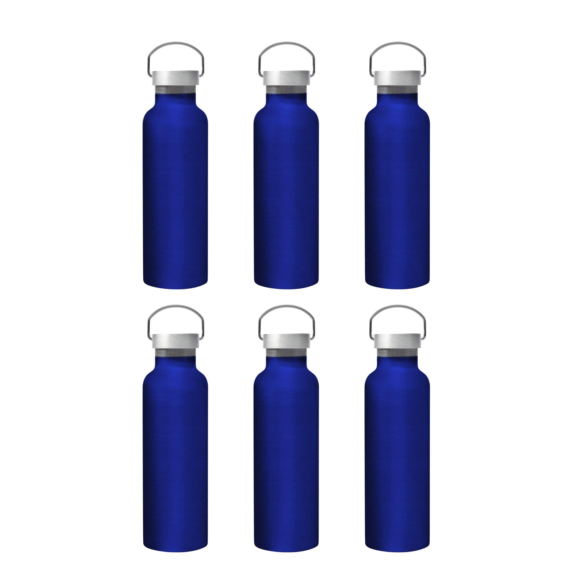 Premium 6-Pack Stainless Steel Water Bottles (25oz) - Double Wall Insulated, Leak-Proof with Wire Handle - Blue - Perfect for Camping, Hiking, Gym & Outdoor Activities