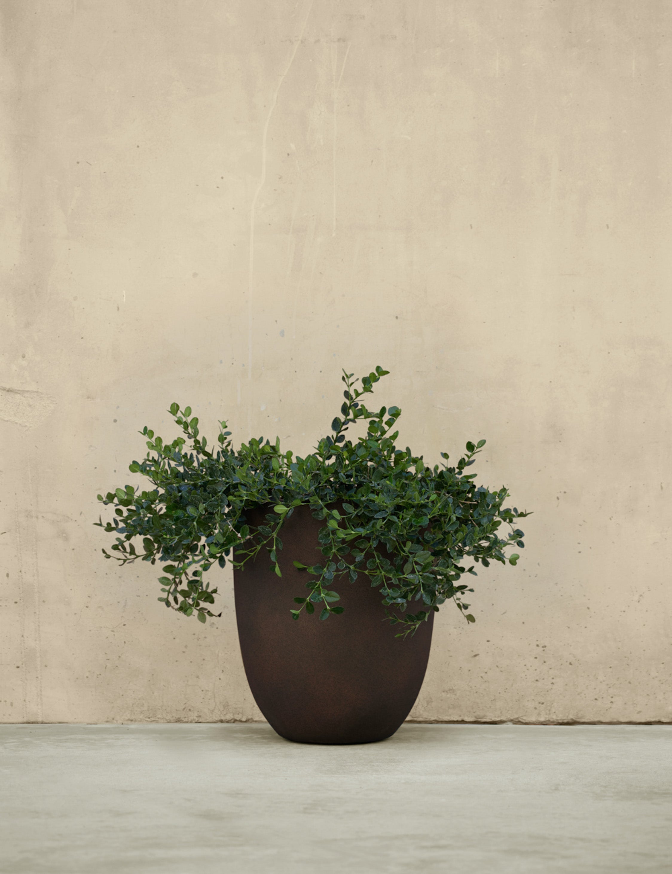 Campania International Bradford Planters - Elegant Garden Planters for Outdoor & Indoor Decor - Perfect for Patios, Balconies, and Home Gardens