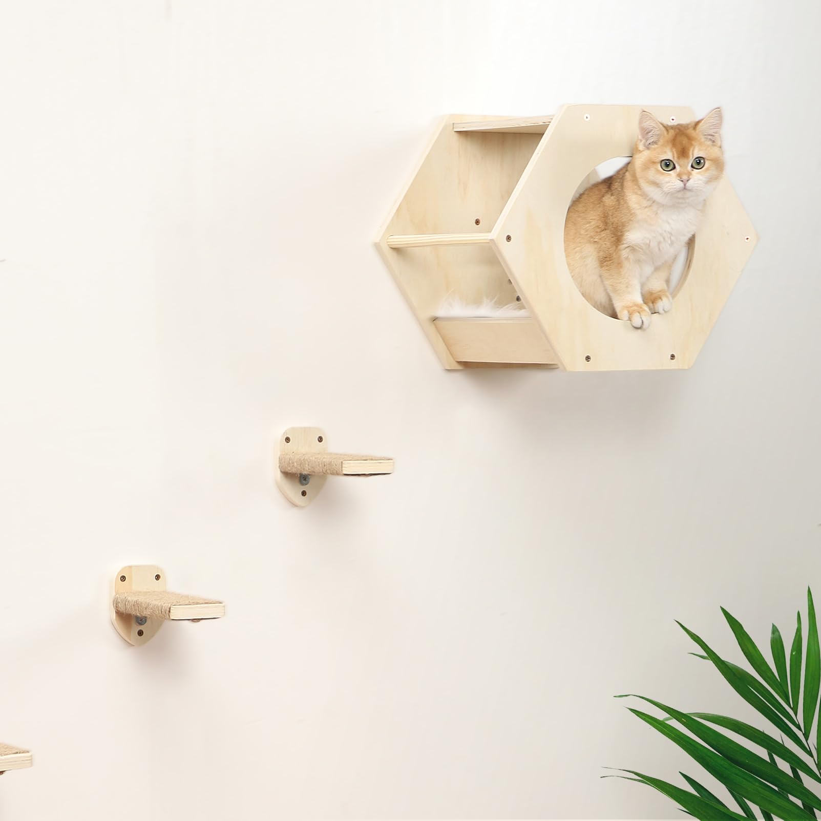 Premium Cat Wall Shelves with 3-Step Scratcher & Plush Hammock - Natural Wood Climbing Shelves for Indoor Cats - Wall Mounted Cat Furniture for Play, Rest & Vertical Space Exploration