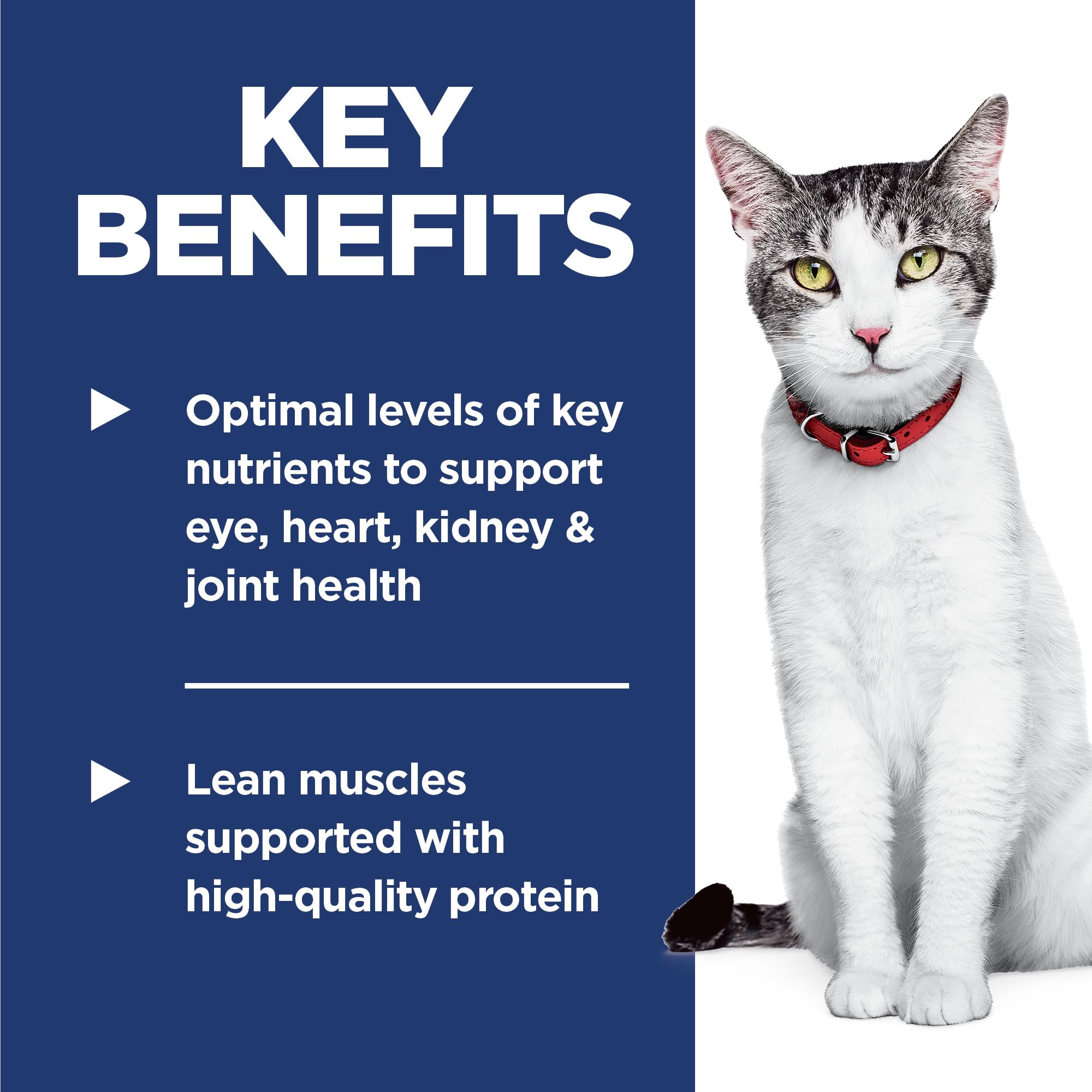 Hill's Science Diet Adult 11+ Dry Cat Food - Premium Senior Nutrition with Chicken - 7 lb Bag for Mature Cats - Perfect for Indoor & Senior Cat Care