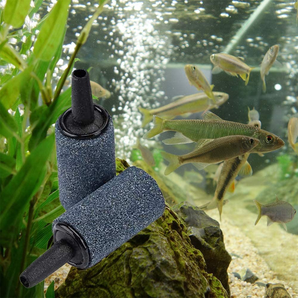 50 Pack 1 Inch Aquarium Air Stone - Cylinder Bubble Diffuser for Fish Tank, Hydroponics & Oxygenation - High Efficiency Grey Airstone Bubbler Pump Accessories (Ideal for Home Aquariums, Fish Breeding & Hydroponic Systems)