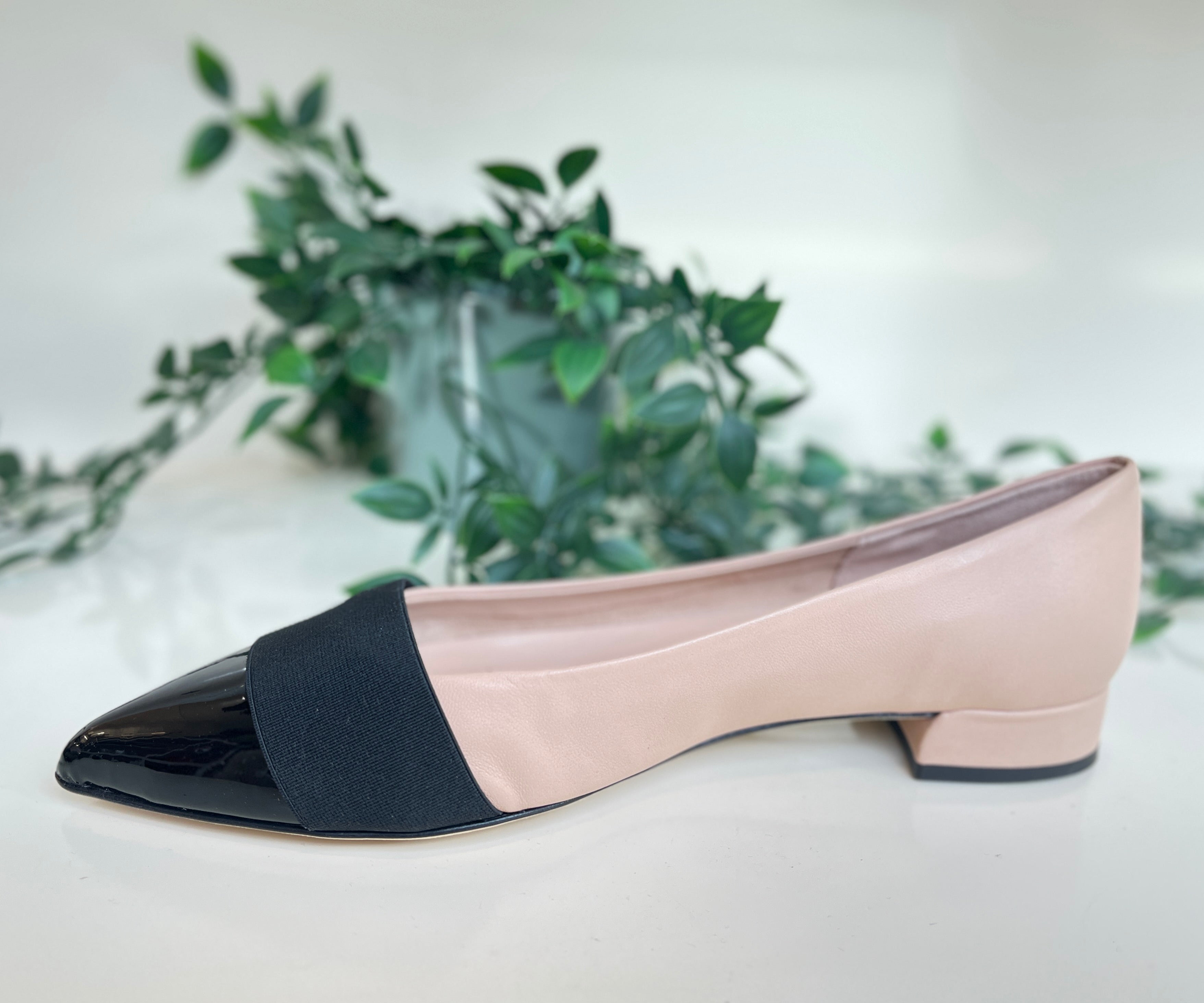 Fabucci Women's Camel & Black Pointed Toe Ballet Flats - Comfortable Leather Loafers for Work, Office & Casual Wear
