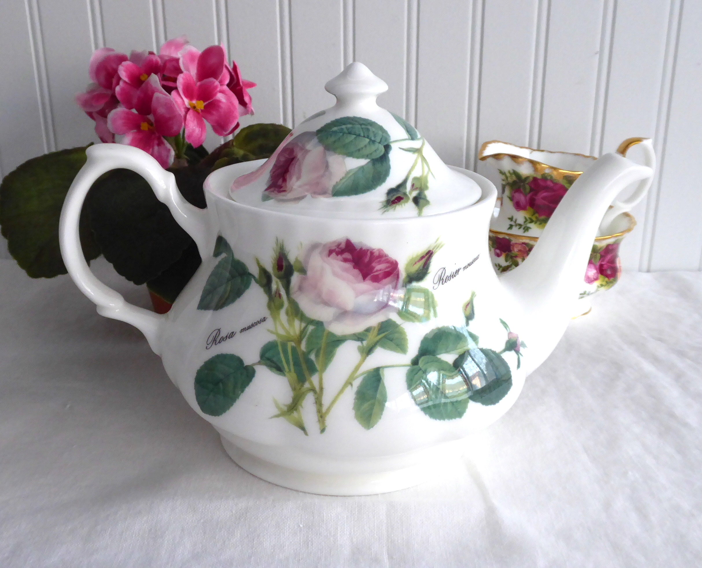 Pink Redoute Rose Teapot by Roy Kirkham - 6 Cup (40 oz) Floral Botanical Teapot for Afternoon Tea & English Garden Parties