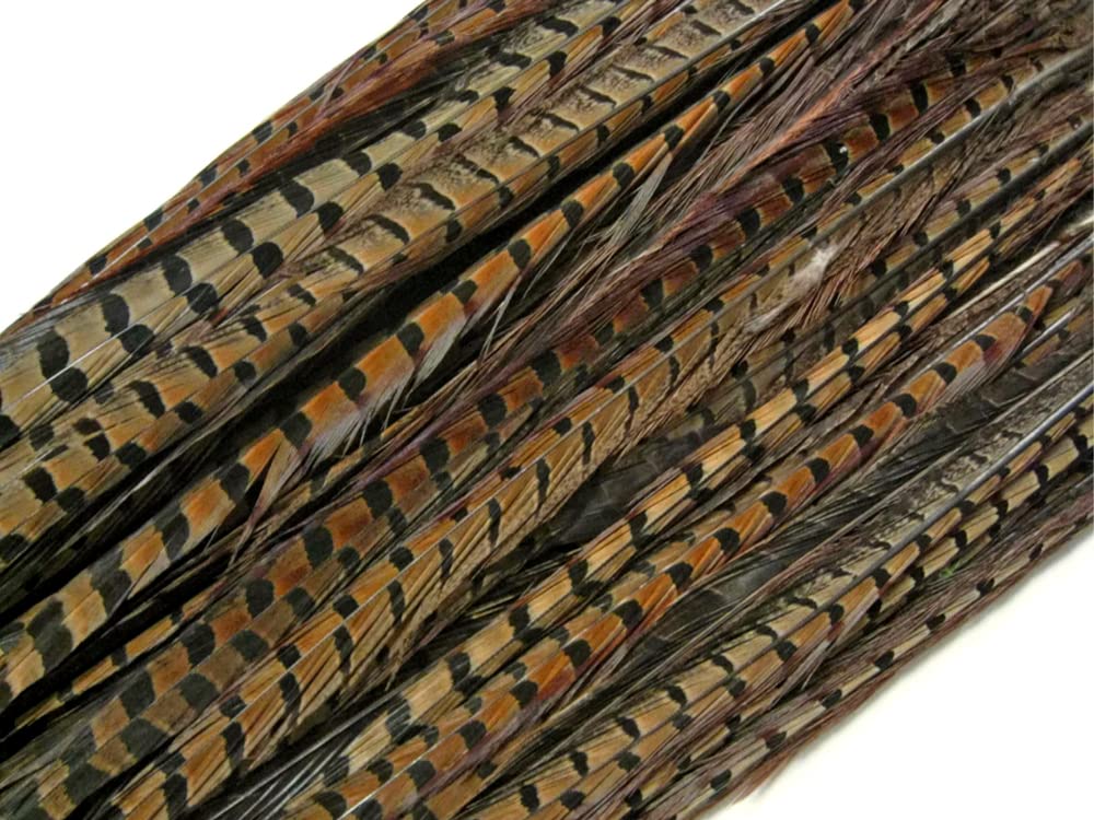 50 Pieces Bulk Natural Brown Ringneck Pheasant Tail Feathers 10-12