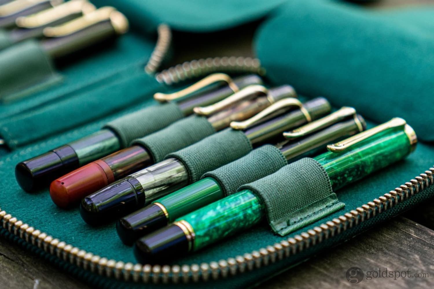 Galen Leather Pen Case - Zippered 10-Slot Organizer in Crazy Forest Green | Premium Leather Pencil Holder for Students, Artists & Professionals | Perfect for Office, School & Travel