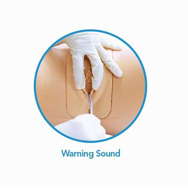 Female Catheterization Simulator - Medical Training Model for Nursing Students & Healthcare Professionals - Practice Urinary Catheter Insertion Techniques
