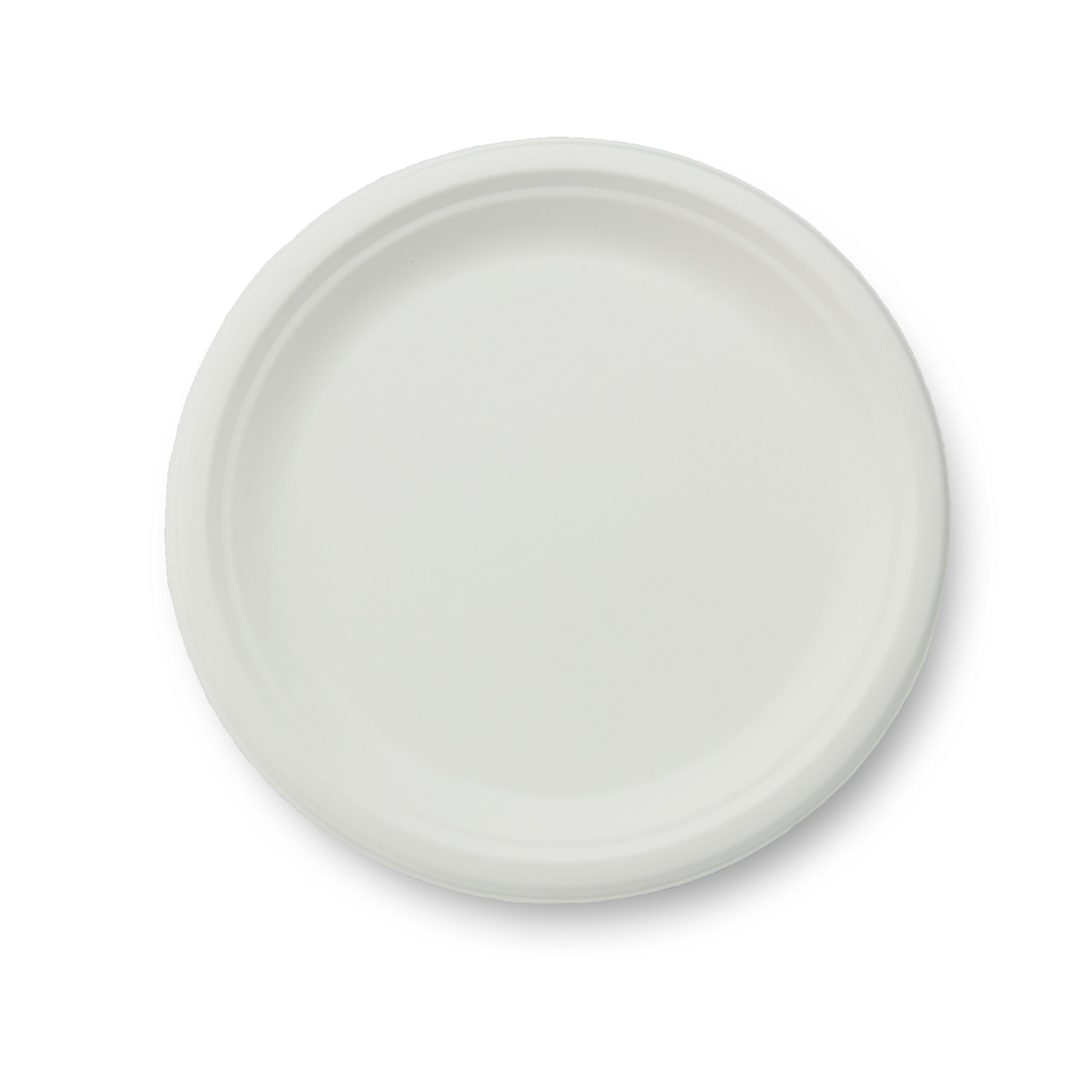 Eco-Friendly 10-Inch Compostable Plant Fiber Plates - 500 Count, Biodegradable & Sustainable Dinnerware for Parties, Picnics & Events