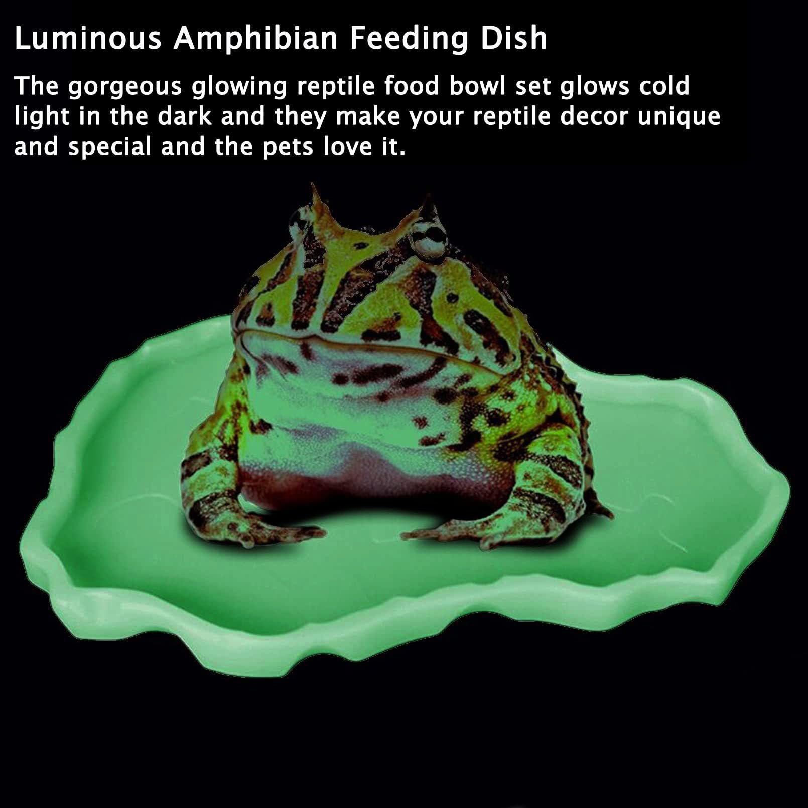Luminous Reptile Food and Water Bowl Set - 2 Pcs Bearded Dragon Dishes, Tortoise Feeder & Lizard Habitat Accessories for Amphibians (Large & Small) - Perfect for Terrarium Décor with Turtles, Geckos, Snakes, Tegus & Iguanas - Ideal for Feeding, Hydration and Habitat Enrichment