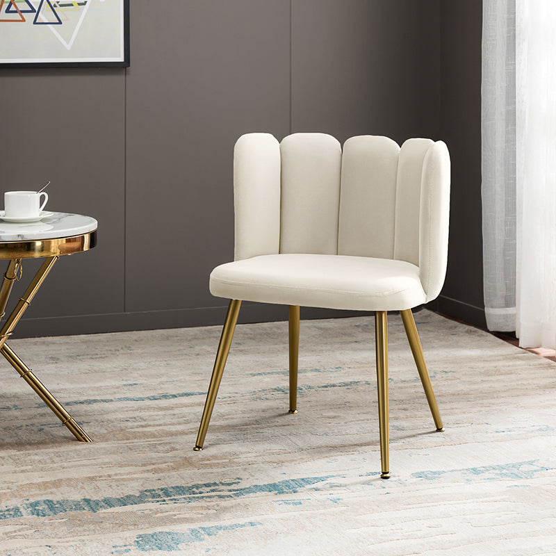 Elodia Side Chair - Modern Accent Chair for Dining Room, Living Room & Office - Sturdy Wooden Frame with Upholstered Seat - Perfect for Home Decor & Small Spaces