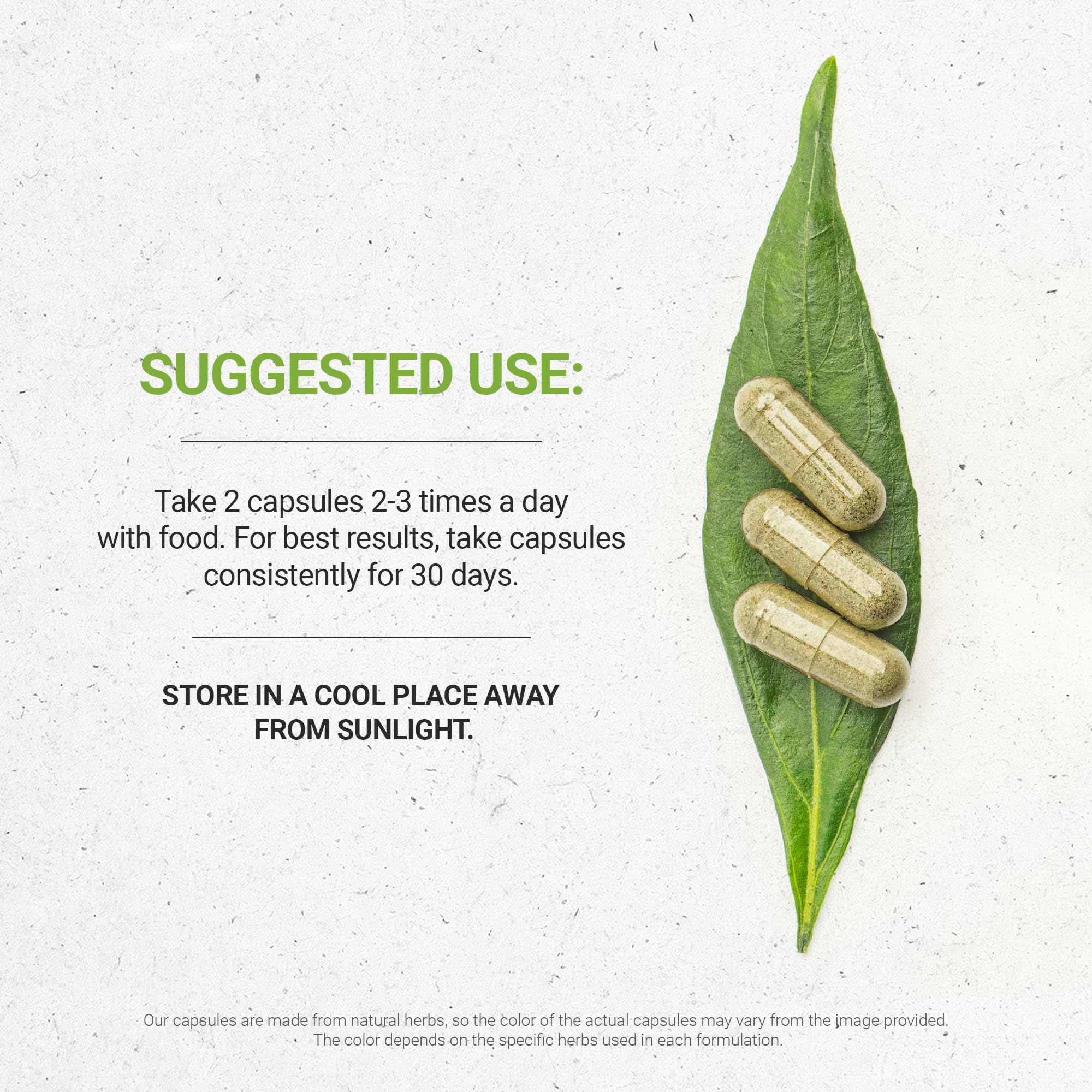 Secrets of the Tribe - Tribal Recall Memory Support Supplement | Herbal Brain Booster with Bacopa & Ginkgo | 60 Vegan Capsules | Enhance Focus & Cognitive Function for Students & Professionals