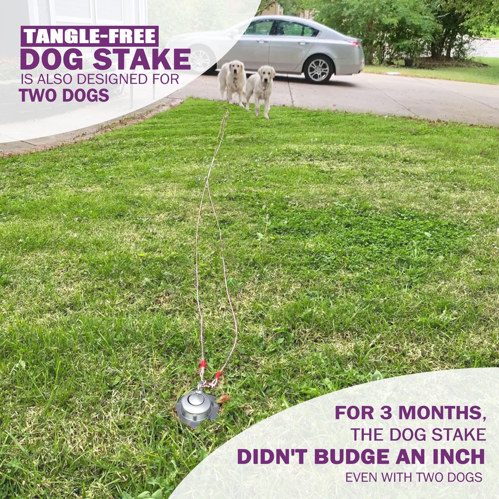 360° Swivel No Tangle Dog Tie Out Cable with Heavy Duty Stainless Steel Stake - 20ft Reflective Dog Run for Small to Large Dogs - Perfect for Backyard, Camping & Outdoor Use (Silver)