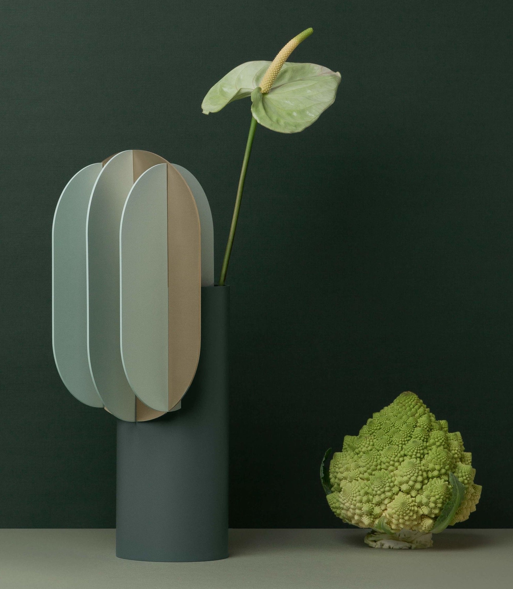 Noom Gabo Vase CS9 - Modern Ceramic Home Decor for Living Room, Bedroom & Office | Elegant Flower Vase for Fresh or Artificial Arrangements
