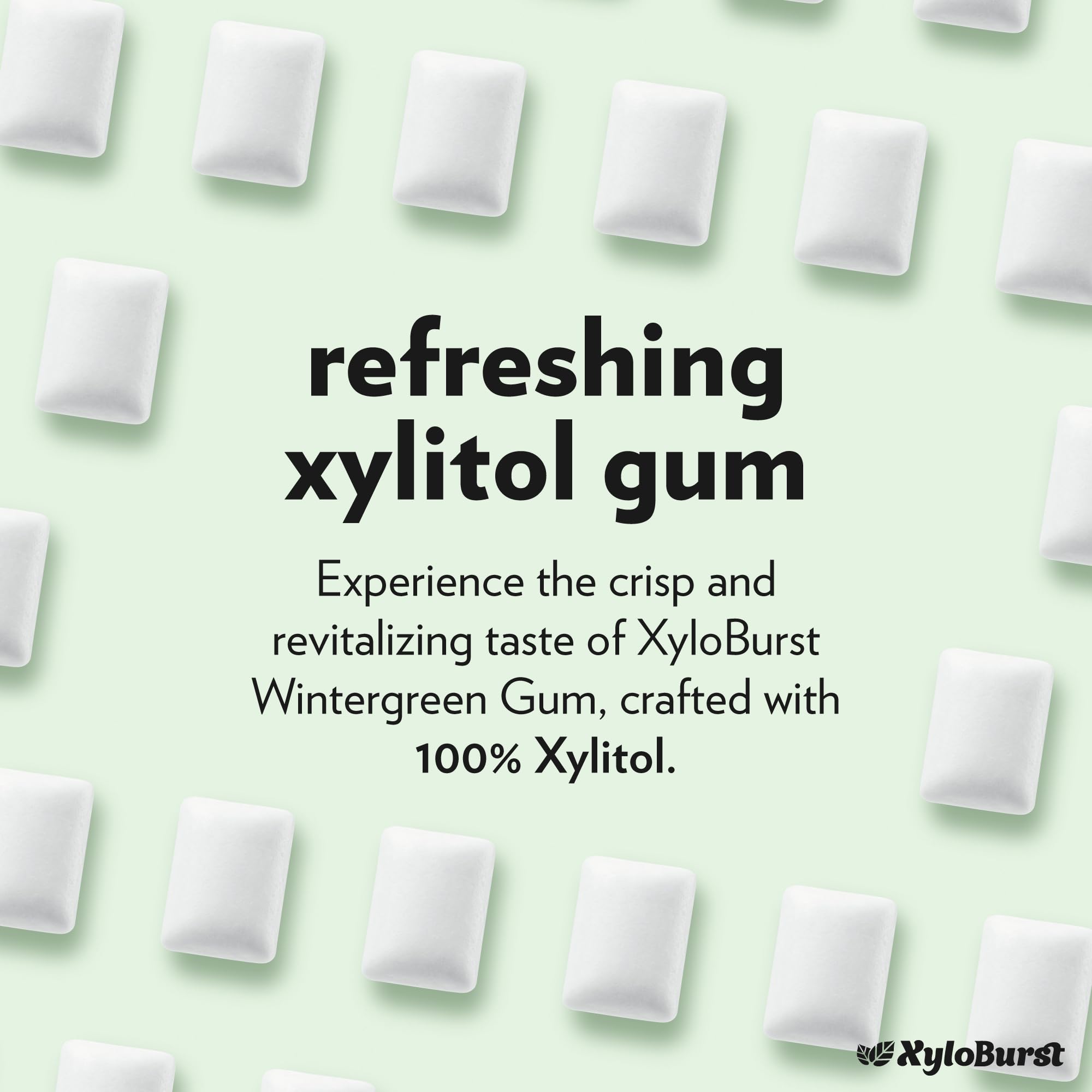 XyloBurst Xylitol Chewing Gum - Sugar Free, Gluten Free, Keto Friendly, Aspartame Free - Wintergreen Flavor for Oral Health & Fresh Breath - 500 Count Bulk Bag - Perfect for Office, Travel, and Post-Meal Freshness