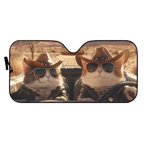 Cat Funny