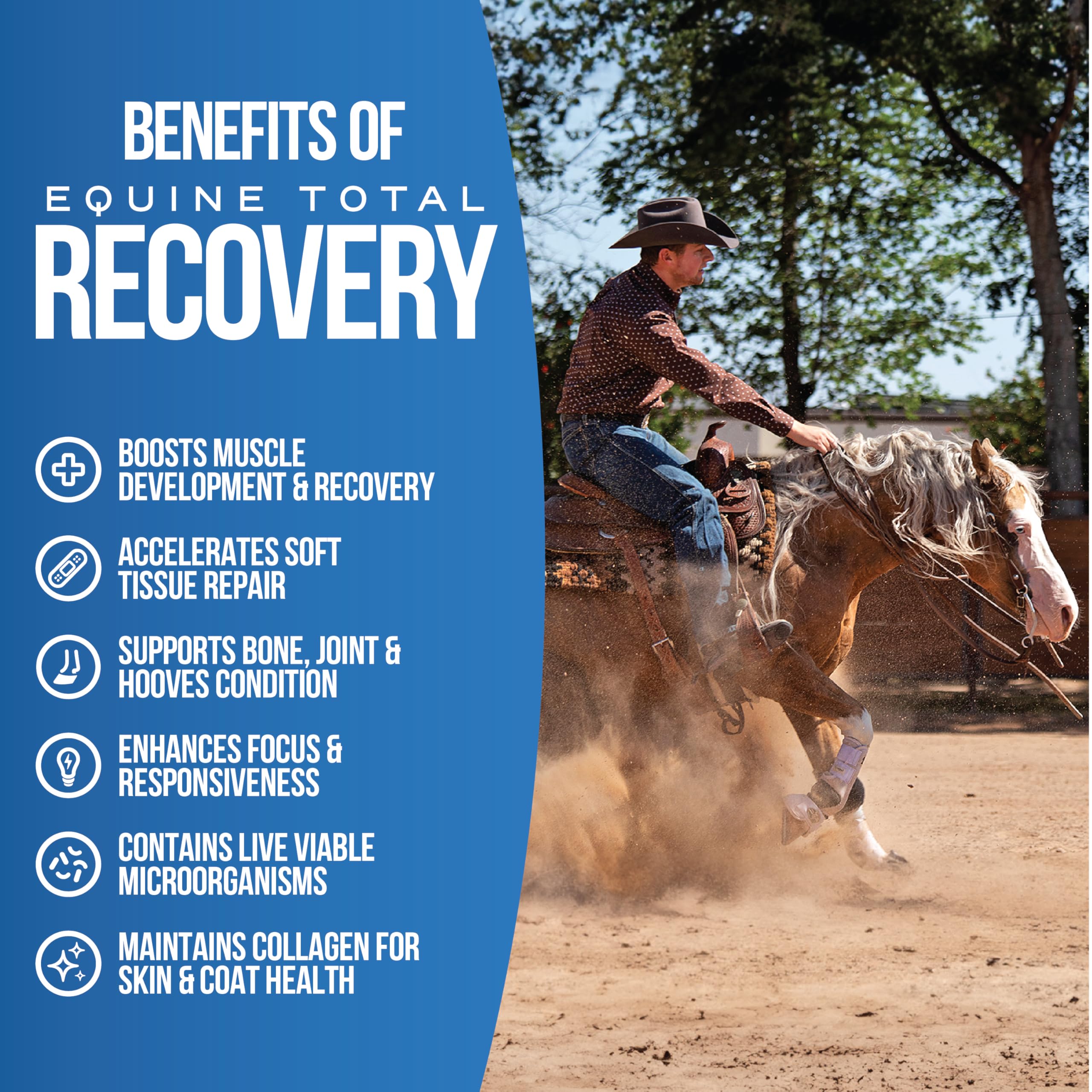 Equine Total Recovery Horse Supplement (620g - 100 Servings) - 9 Essential Amino Acids + Probiotics for Joint Health - Sugar Free, Soy Free, No Fillers - Supports Muscle Recovery & Digestive Health - Ideal for Performance Horses & Senior Equine Care