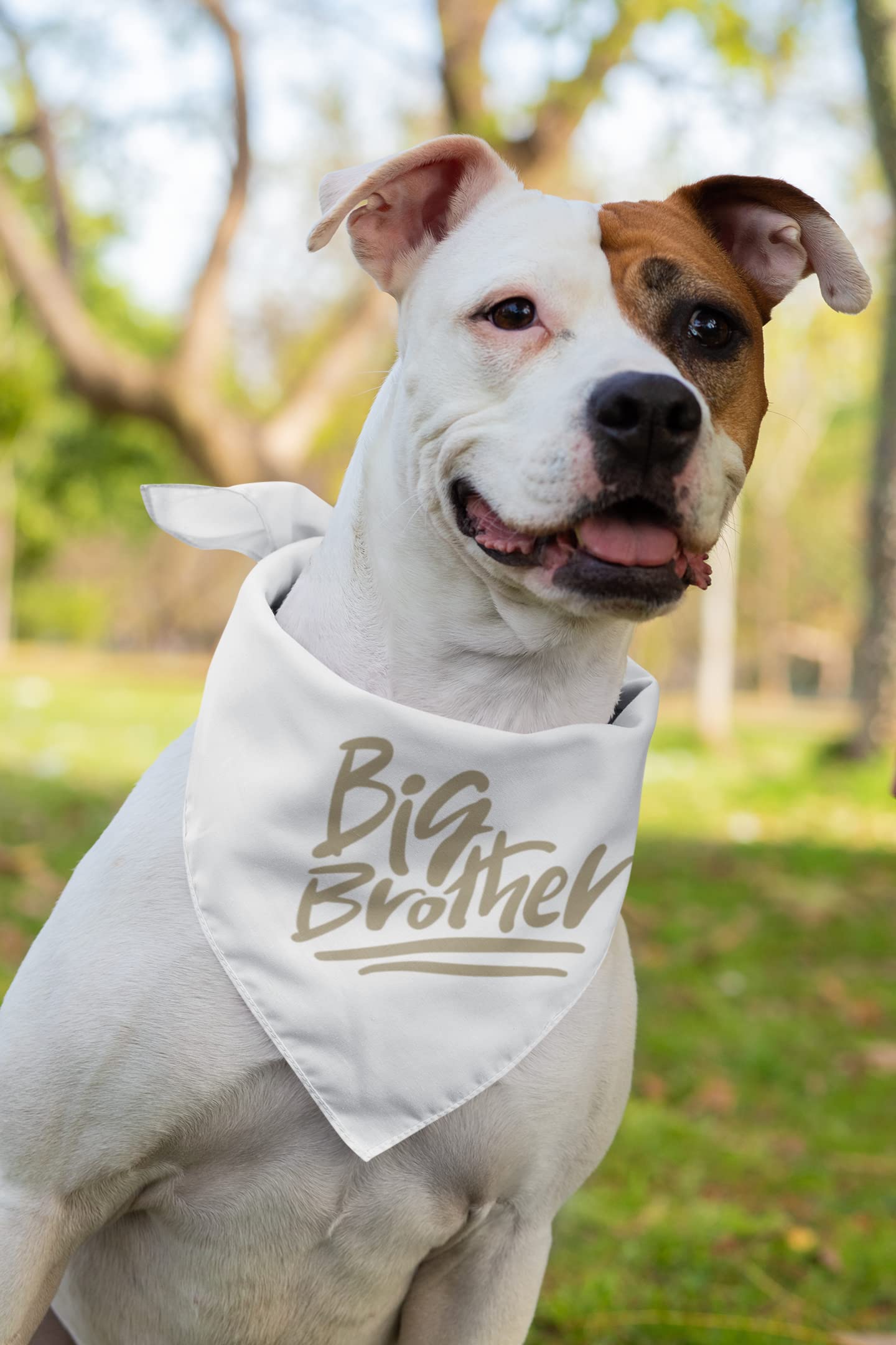 Big Brother Iron On Decal - Heat Transfer Vinyl Patch for Family Shirts - Big Little Bro HTV Graphic Ready to Press - Emerald Glitter Design - Perfect for Sibling Matching Outfits, DIY T-Shirts & Personalized Gifts