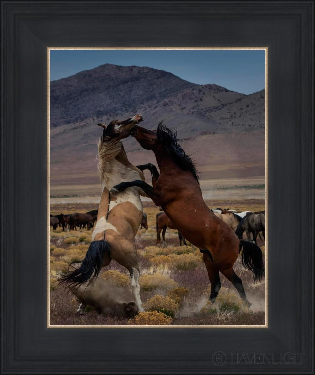 Desert Duel 1 by Greg Sargent - Western Adventure Novel for Adults | Perfect for Book Clubs, Gifts & Western Fiction Fans