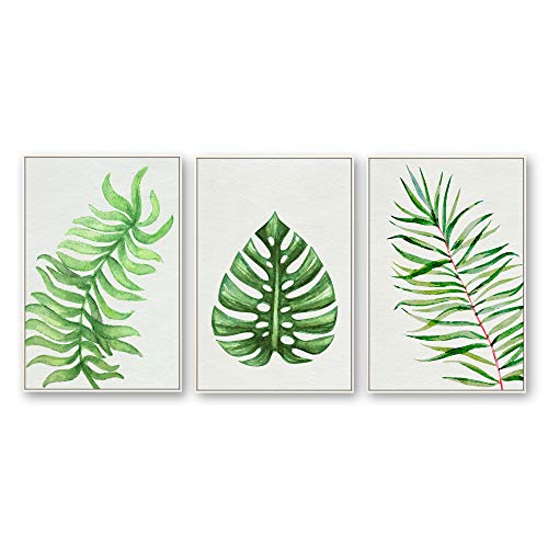 Plants-1909-n13