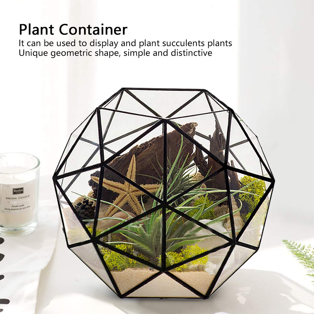 Geometric Glass Terrarium Planter for Air Plants & Succulents - Modern Miniature Fairy Garden Decor for Balcony, Tabletop & Indoor Display | Perfect for Home, Office & Wedding Centerpieces