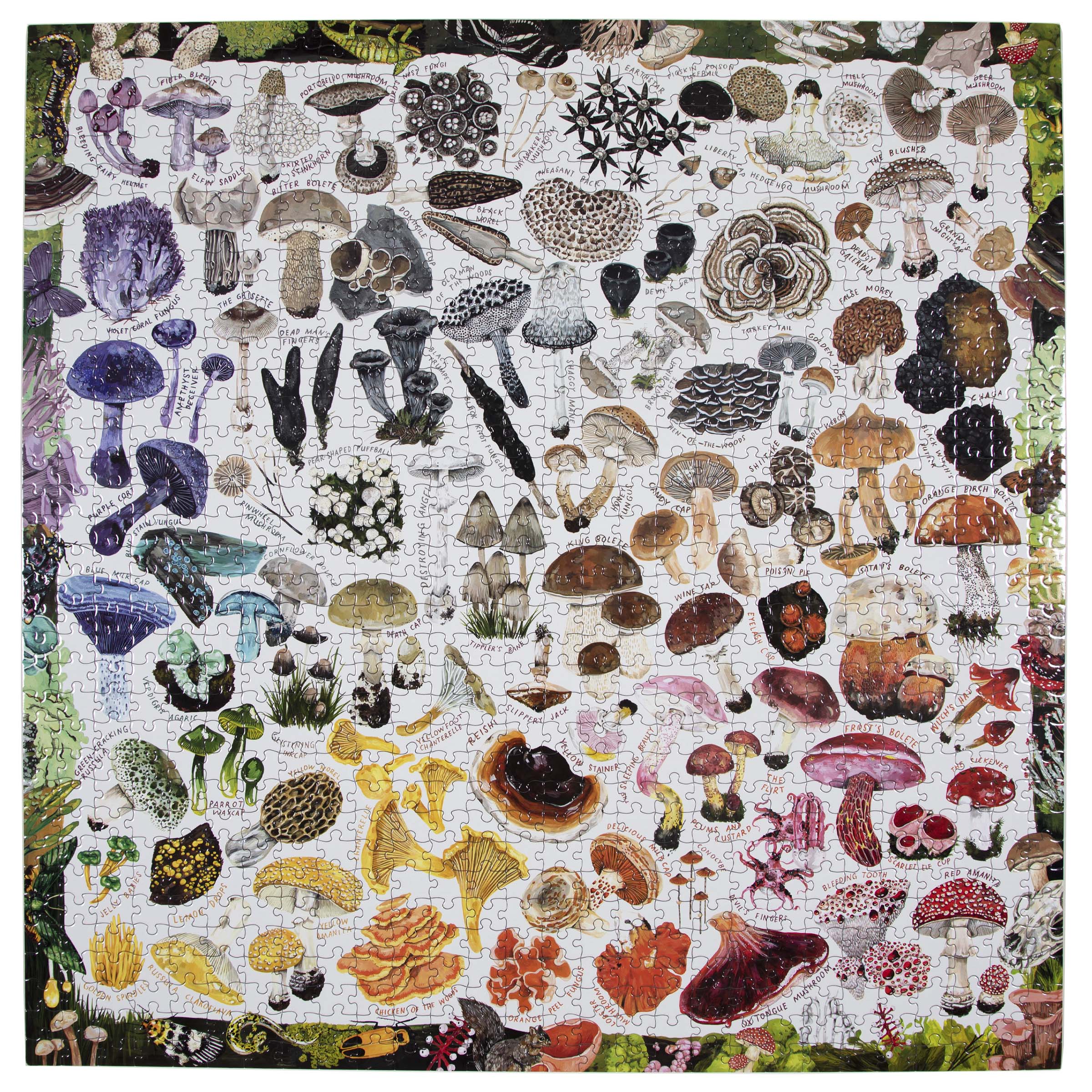 1000 Piece Mushroom Rainbow Puzzle - Colorful Jigsaw Puzzle for Adults & Kids - Perfect for Family Game Night & Relaxation