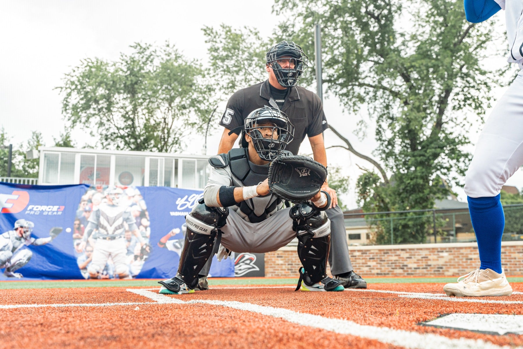 FORCE3 Defender Two-Tone Catcher Leg Guards - Baseball & Softball Protective Gear for Youth & Adults - Perfect for Games, Training & Practice