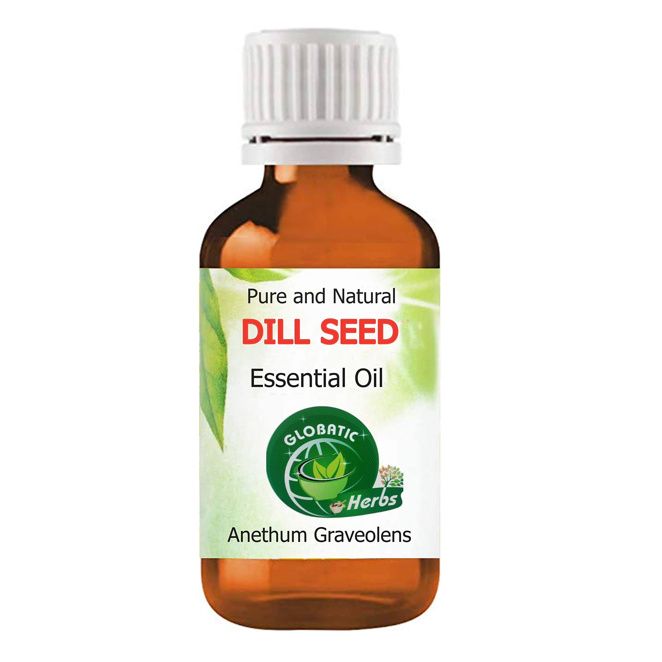 Globatic Herbs Organic Dill Seed Essential Oil 15ml (Anethum Graveolens) - 100% Pure, Undiluted, Therapeutic Grade for Aromatherapy, Cooking & Natural Remedies