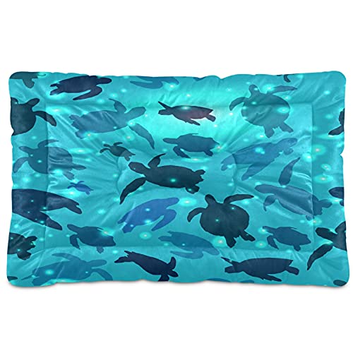 swim turtle